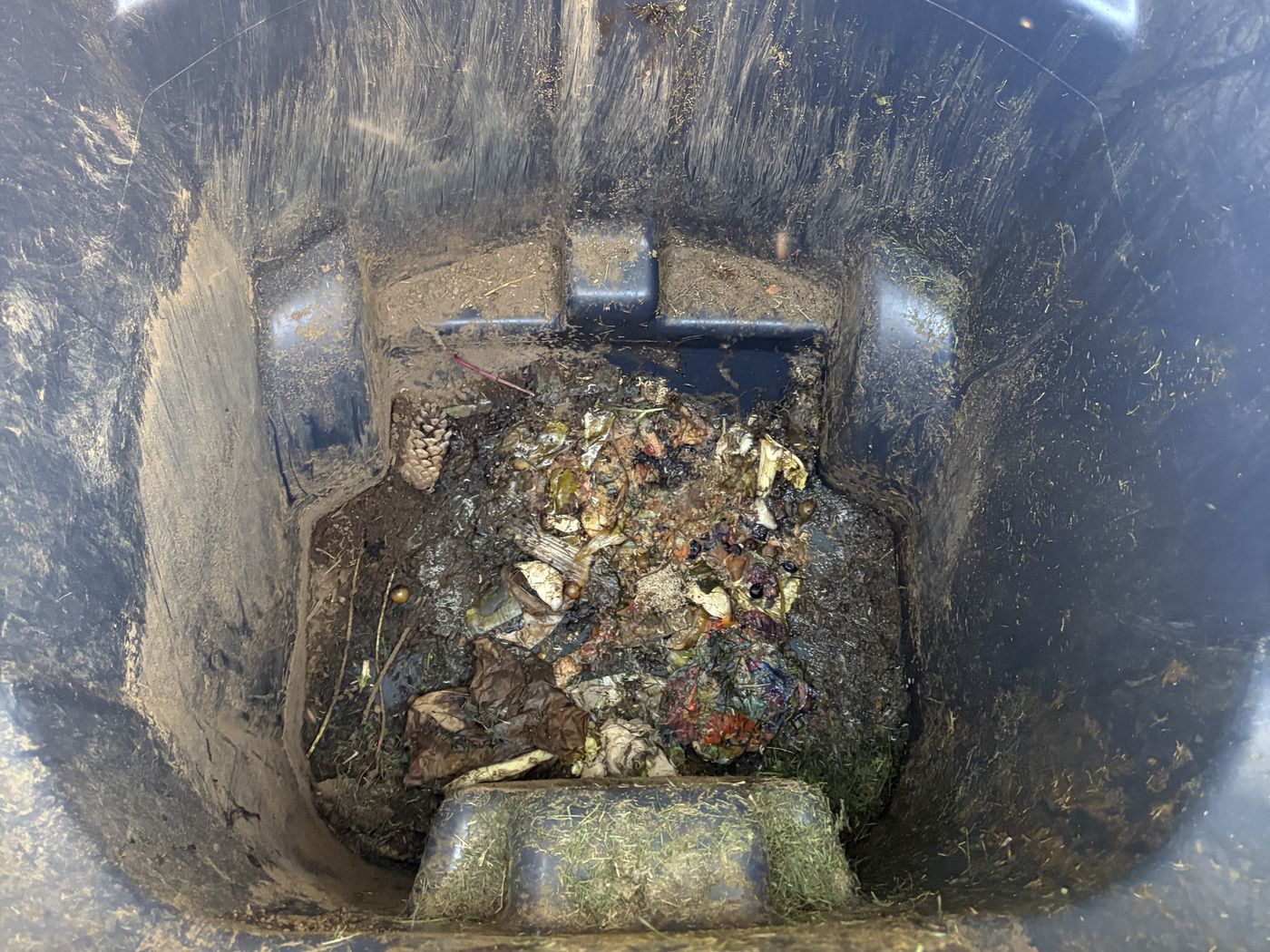 Trash bin before cleaning