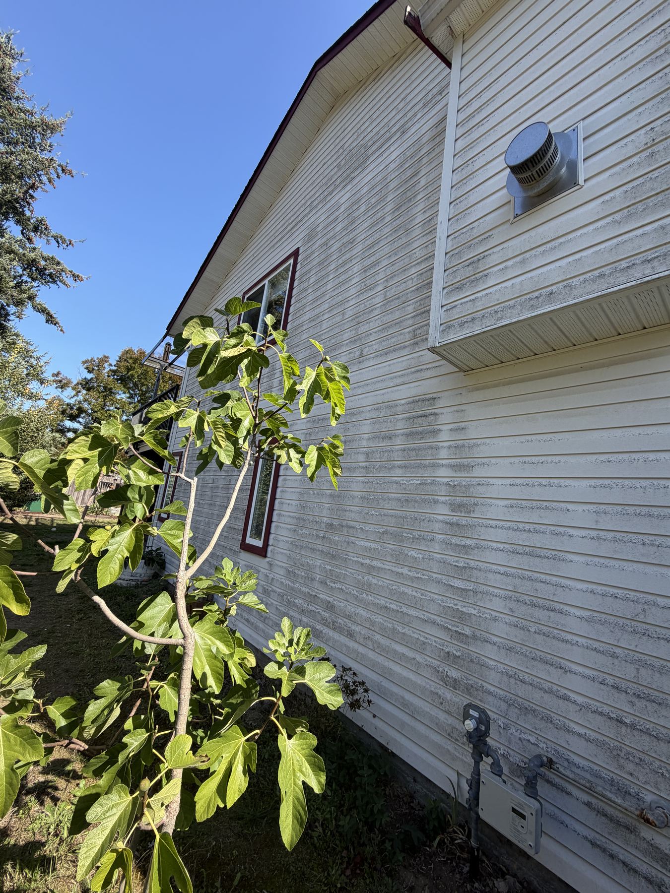 House siding before softwashing